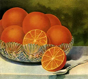 Sliced: Orange Still LIfe