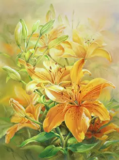 Enchantment: Orange Lilies ' Enchantment