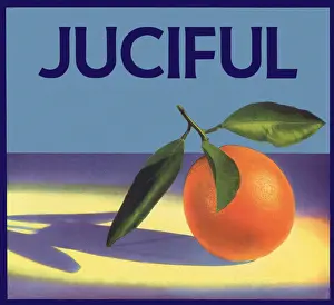 Spotlight: Orange in Spotlight