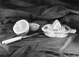 Zest: ORANGE SQUEEZER