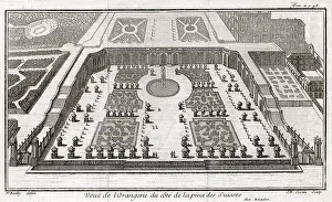 Nouvelle: ORANGERY, VERSAILLES