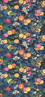 Oranges: Oranges growing on branch