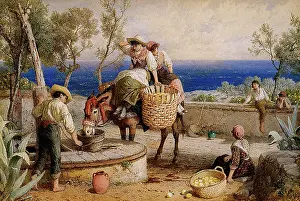 Birket: Oranges and Lemons Mediterranean
