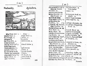 1658: Orbis Pictus, Farming
