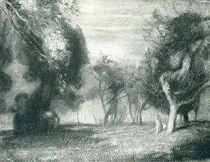 Mcevoy: In The Orchard