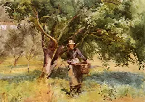 Mildred: The Orchard