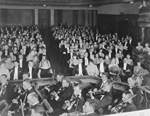 Orchestral: ORCHESTRA SEATS