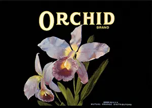 Frail: Orchid Fruit Label