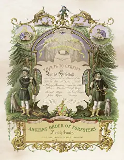 Stedman: ORDER OF FORESTERS