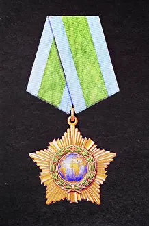 Zhuk: Order of Friendship