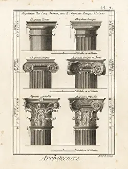 Jean Le Rond Dalembert: Orders of capitals in Greek and Roman architecture