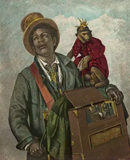 Grinders: Organ Grinder