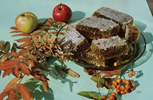 Honey: Organic honey in honeycombs, 1983