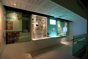 Naming: Organising nature section in Cocoon