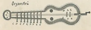 Rubs: Organistrum