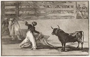 Banderillas: Origin of the harpoons or banderillas