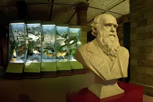 Darwin200: Origin of Species