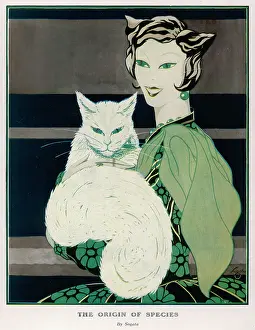 Cats: The Origin of Species by Sogata