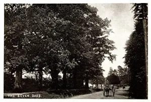 Sevenoaks: The original Seven Oaks, Sevenoaks, Kent