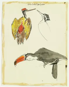 Perch: Original Textile design by Tanya Atkinson - birds