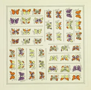 Wrapper: Original Textile design by Tanya Atkinson - butterflies