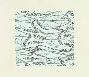Cereals: Original Textile design by Tanya Atkinson - corn