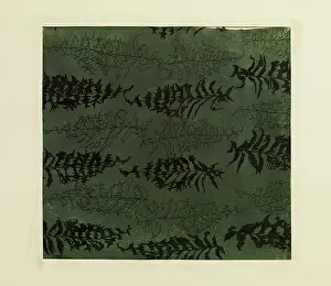 Ferns: Original Textile design by Tanya Atkinson - ferns