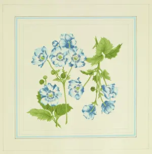 Wallpapers: Original Textile design by Tanya Atkinson - flowers
