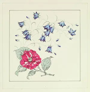 Wallpapers: Original Textile design by Tanya Atkinson - flowers