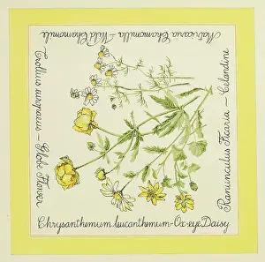 Wrapper: Original Textile design by Tanya Atkinson - flowers