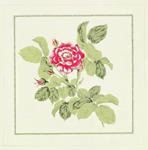 Wrap: Original Textile design by Tanya Atkinson - flowers