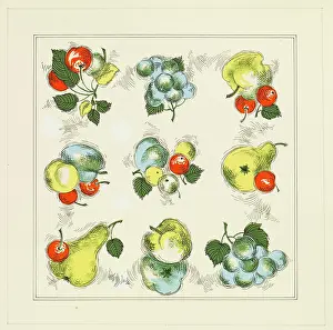 Wrap: Original Textile design by Tanya Atkinson - fruit