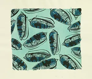 Wrap: Original Textile design by Tanya Atkinson - shells