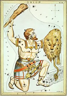 Pounded: Orion Hitting a Lion