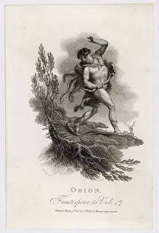 Arranges: Orion Killed by Scorpion