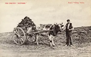 Gatherer: The Orkney Express