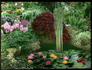 Rockery: Ornamental pond in a garden