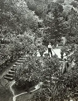 Tress: Ornamental Tank
