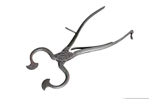 Scissor: Ornate cutters