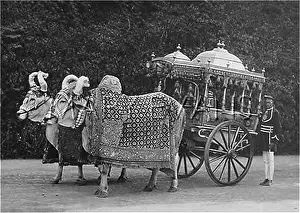 Ornately: ORNATE OX-CART, INDIA