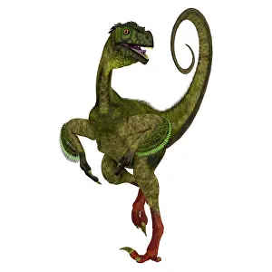 Kimmeridgian: Ornitholestes dinosaur, front view