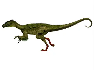 Kimmeridgian: Ornitholestes dinosaur, side view