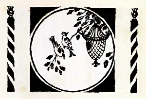 Draping: The Ornithologist of Cobbitty