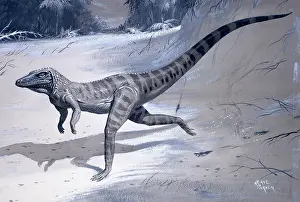 Neave: Ornithosuchus