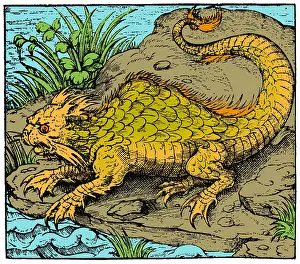 Marvels: Orobon, Monster Fish, 16th Century