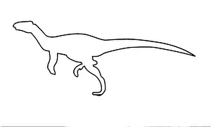 Euornithopoda: Orodromeus