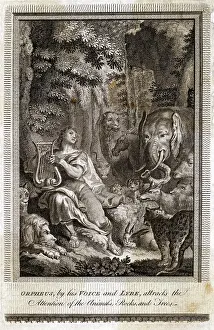 Charms: ORPHEUS AND THE BEASTS