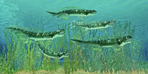 Slender: Orthacanthus was a freshwater shark that thrived in the ?