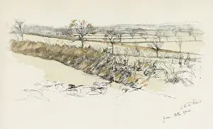 Foxhunt: Orton Gorse, Atherstone Hunt area, Warwickshire