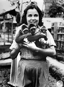 Monkeys: Osa Johnson with monkeys, 1937